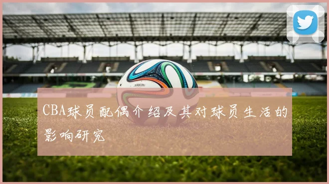 CBA球员配偶介绍及其对球员生活的影响研究