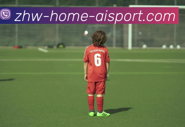 爱体育平台生态图